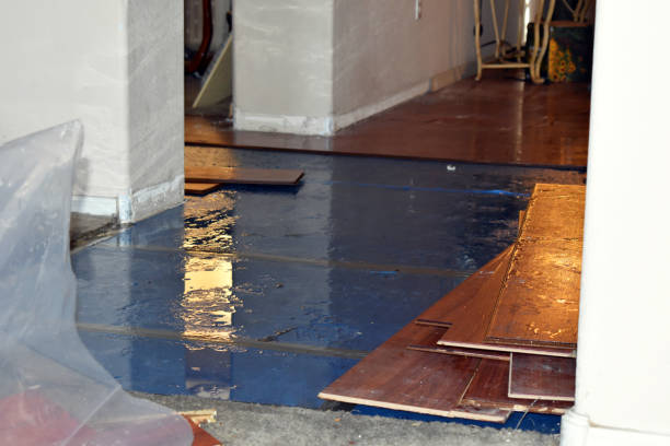 Professional Basement Flood Cleanup technician working in Reading, OH